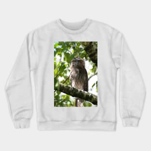 Tawny Visitor Crewneck Sweatshirt